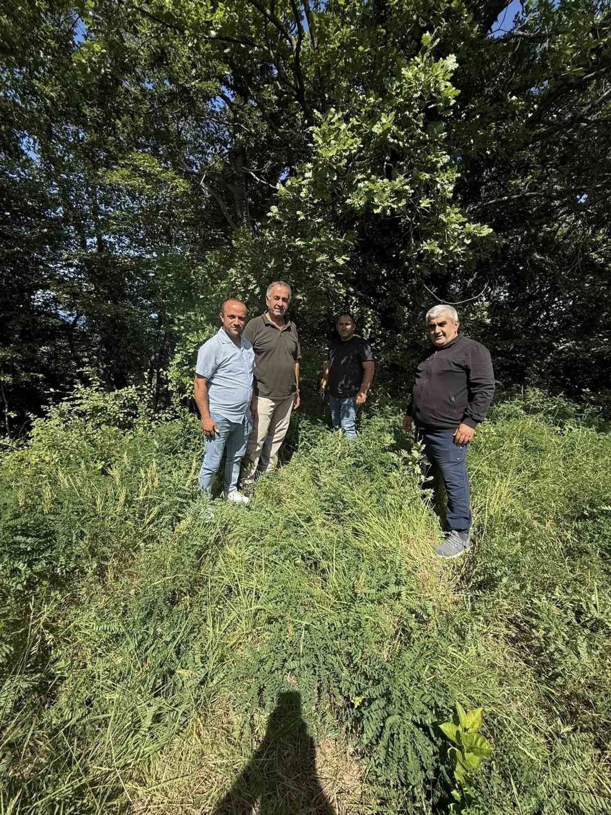 Türkeli’nin 5 köyüne baz istasyonu
