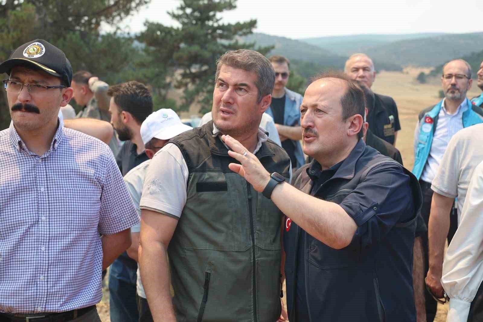 AFAD: "Yangınlara karşı mücadele kapsamında 4 bin 231 personel, 45 hava aracı ve bin 236 kara aracı görev yapmaktadır"
