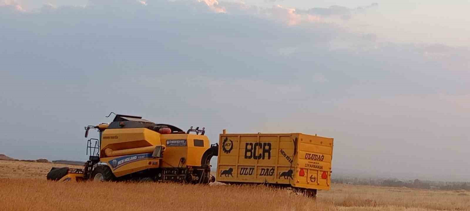 Patnosta buğday hasadı başladı
