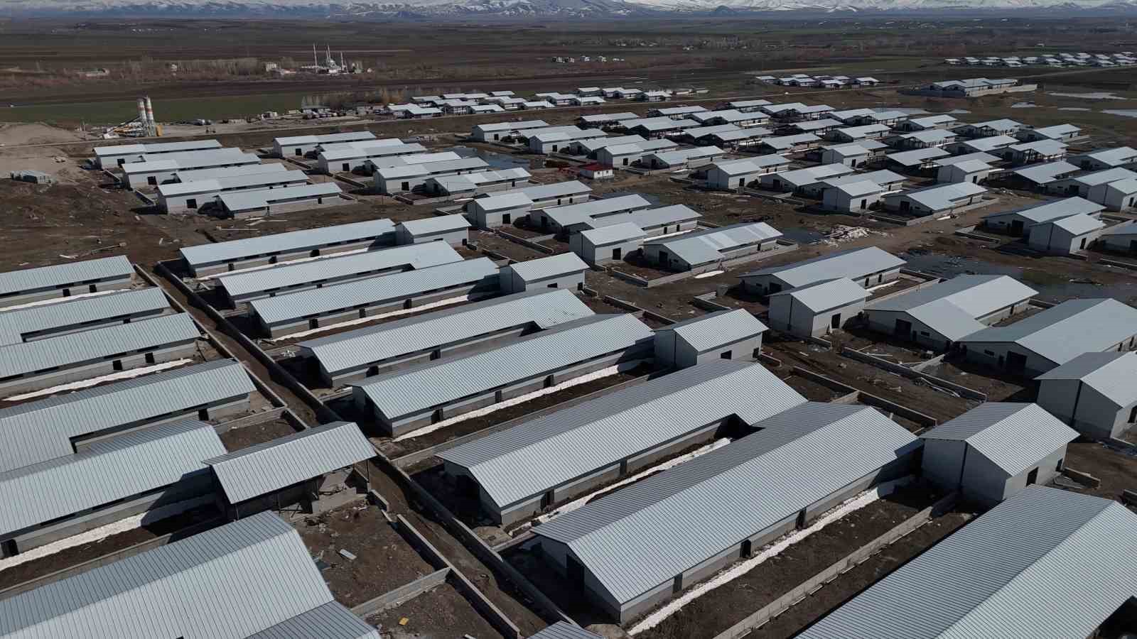 Ağrı’da 307 ahırlık hayvancılık üssü hayata geçiyor
