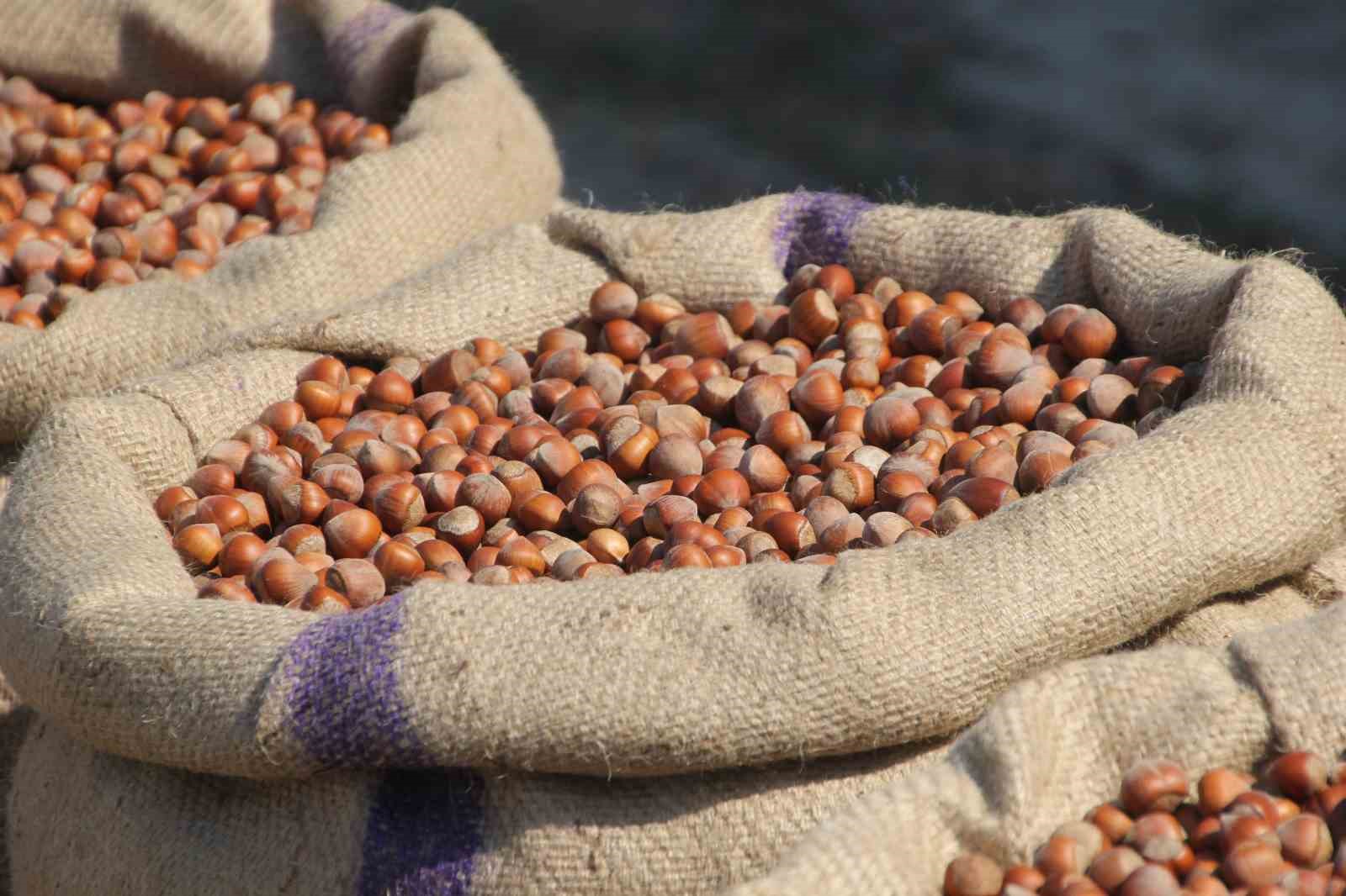 Akça: "Fındıkta tekelci yapının manipülasyonu bitmek üzere"
