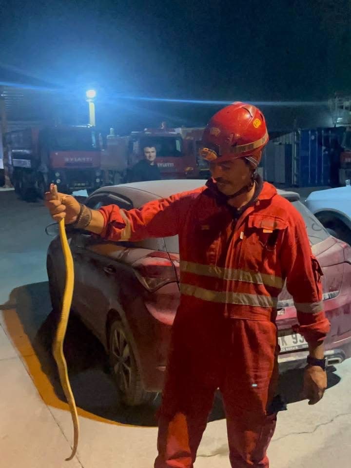 Antakya’da aracın içinde görülen yılan yakalandı
