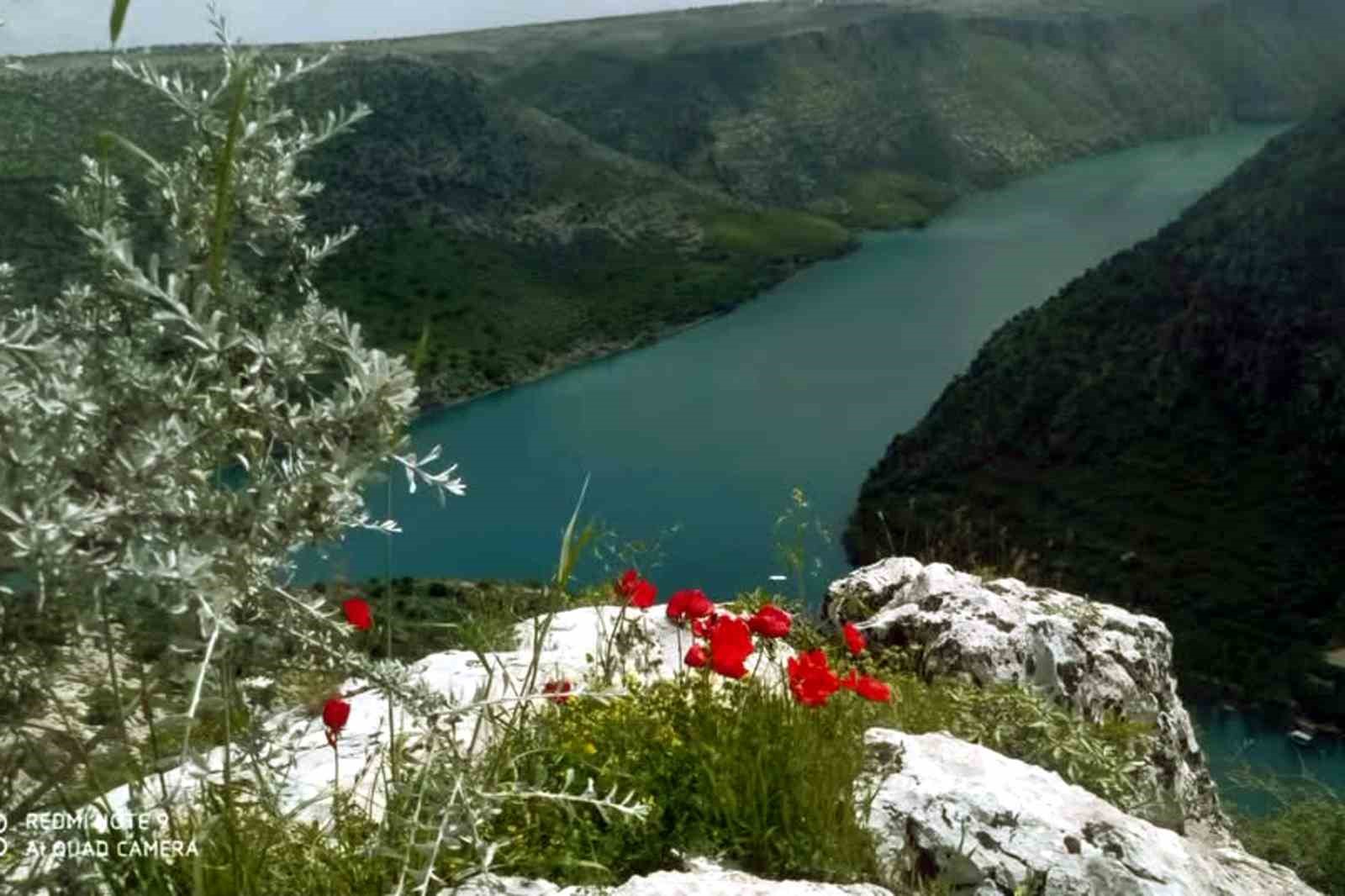 Araban Ovası’na bahar geldi
