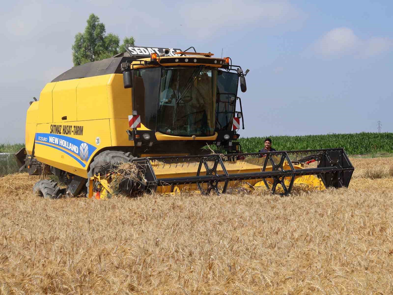Arsuz’da buğday hasadı devam ediyor
