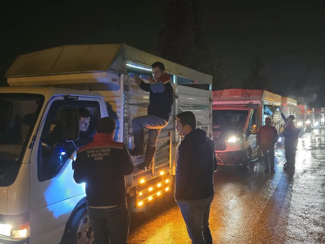 Aydın’da hayvan pazarlarında sıkı denetim
