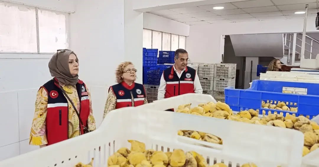 Aydın’ın sarı altını incir için denetimler sıklaştırıldı
