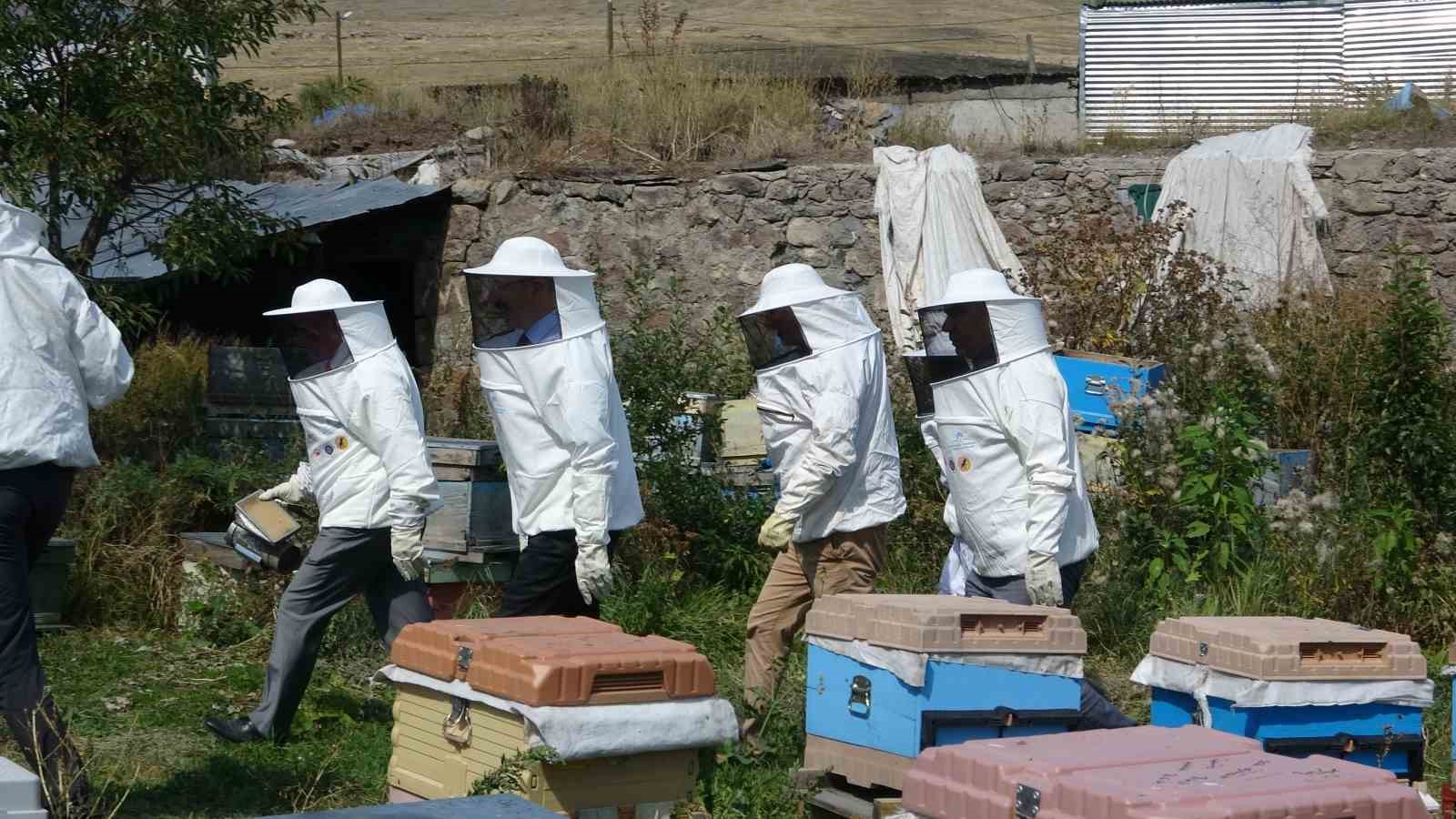 Bal sezonunda son sağım heyecanı
