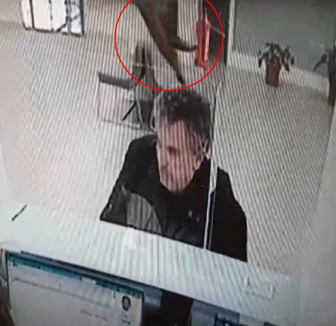 Bankada işlem yaparken üzerine kedi düştü
