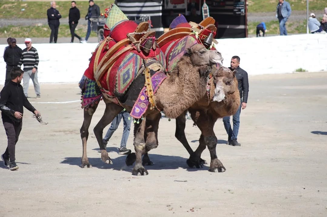 Başkan Kaya: "Bu yıl sezonun ilk güreşlerini yapmak bizlere nasip oldu"
