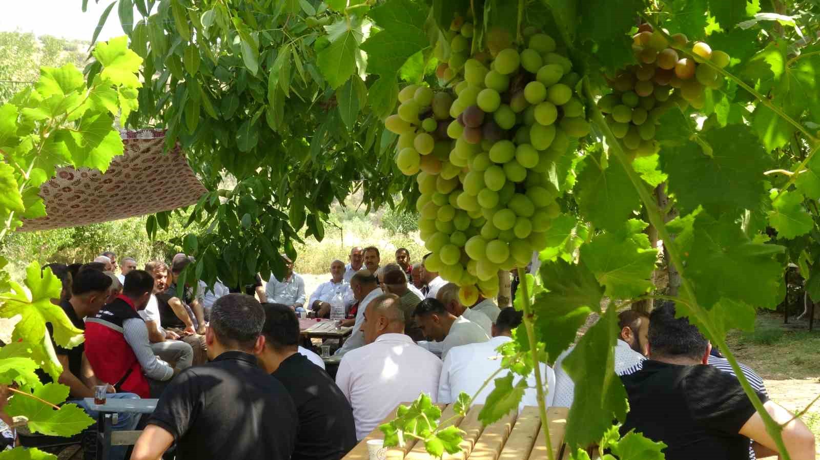 Batman’da mezrone üzümü için tarihi adım: Bağlıca köyünde kooperatifleşme heyecanı
