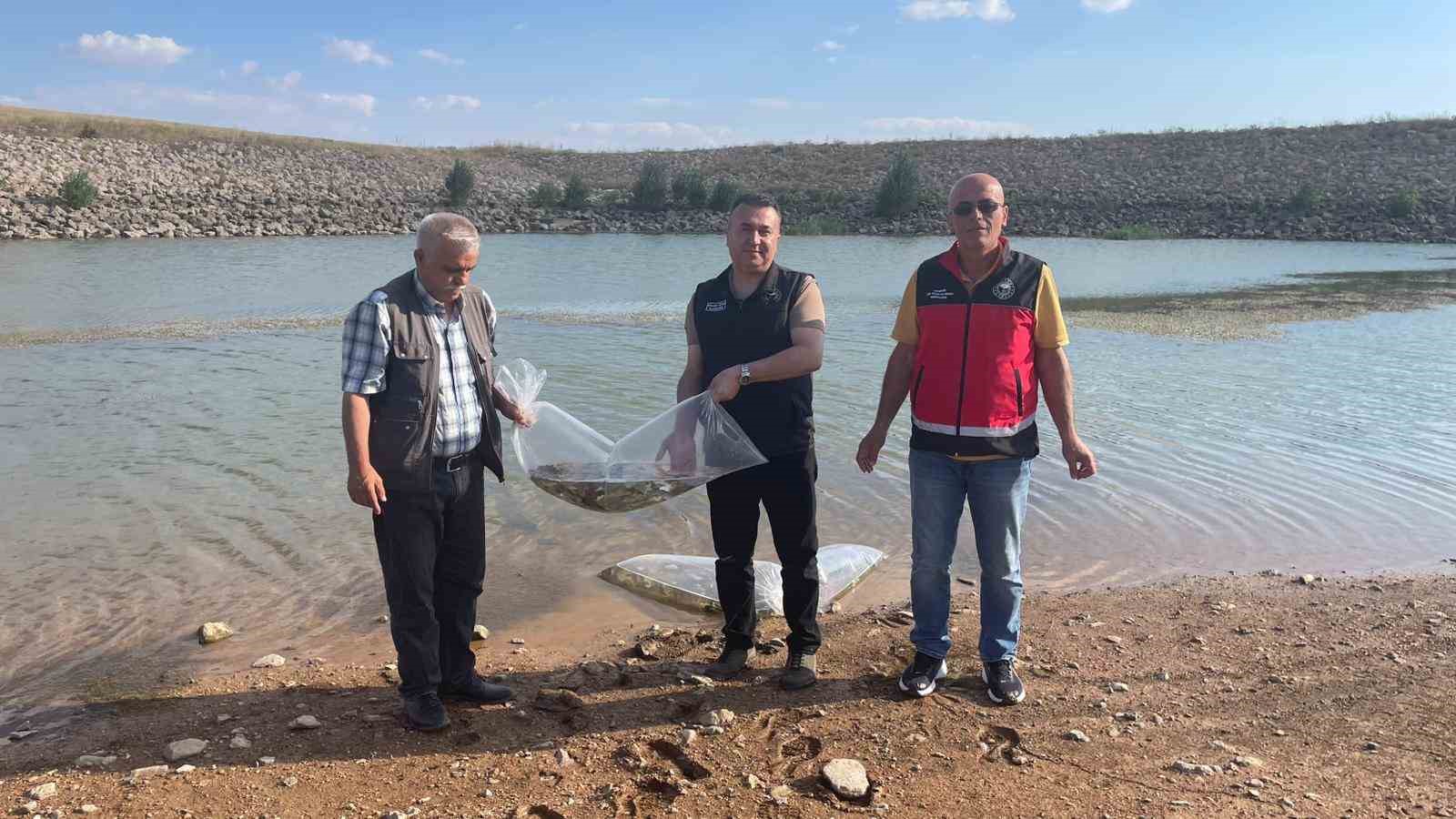 Beyşehir ve Hüyük’ün göletlerine balık bırakıldı
