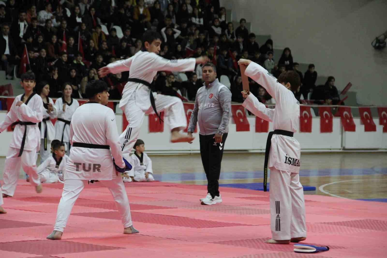 Bingöl’de Cumhuriyet’in 103’üncü yılı coşkuyla kutlandı
