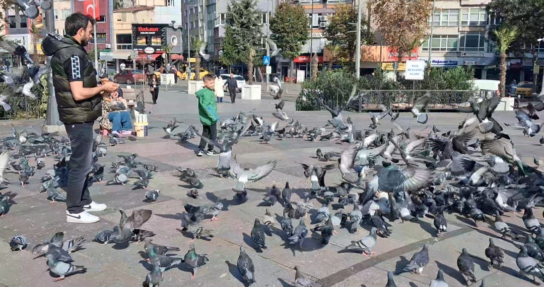 Bir yerde kış bir yerde yaz
