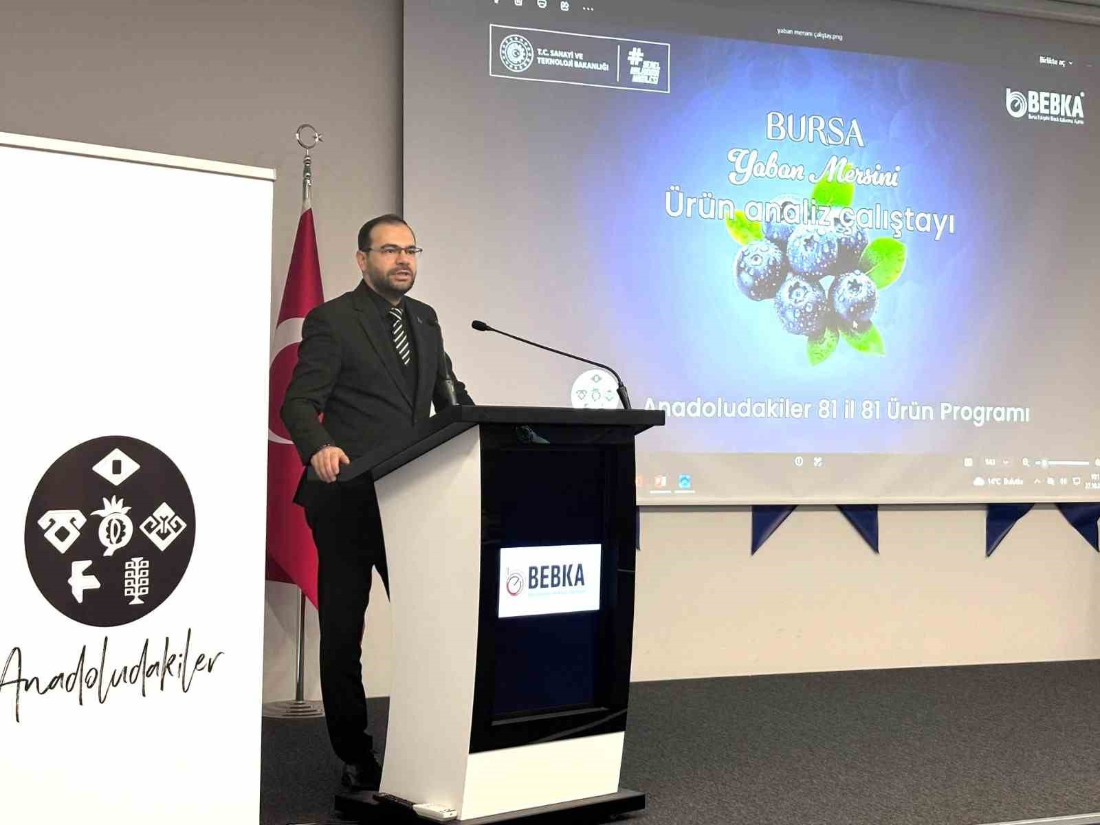 Bursa’nın yaban mersini için yol haritası paydaşlarla çiziliyor
