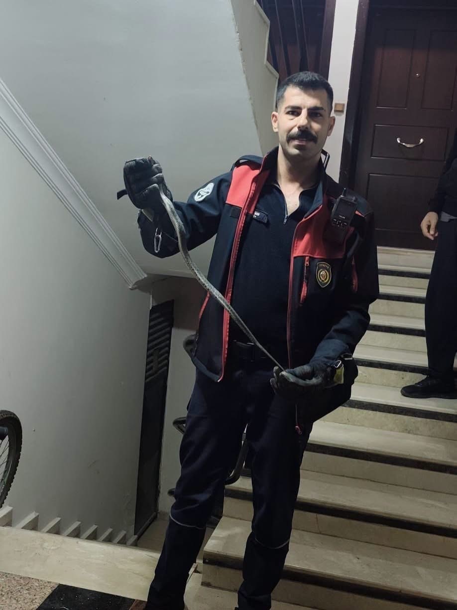 Defne’de yerleşim yerinde görülen yılan doğaya bırakıldı
