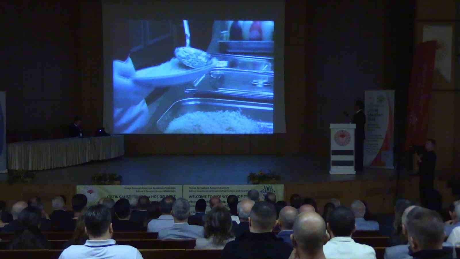 Edirne’de çeltiğin geleceği masaya yatırılıyor

