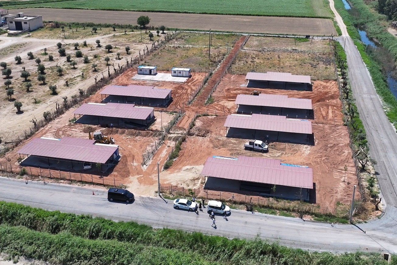 Efeler Belediyesi’nden sokak hayvanları için yeni yaşam alanı
