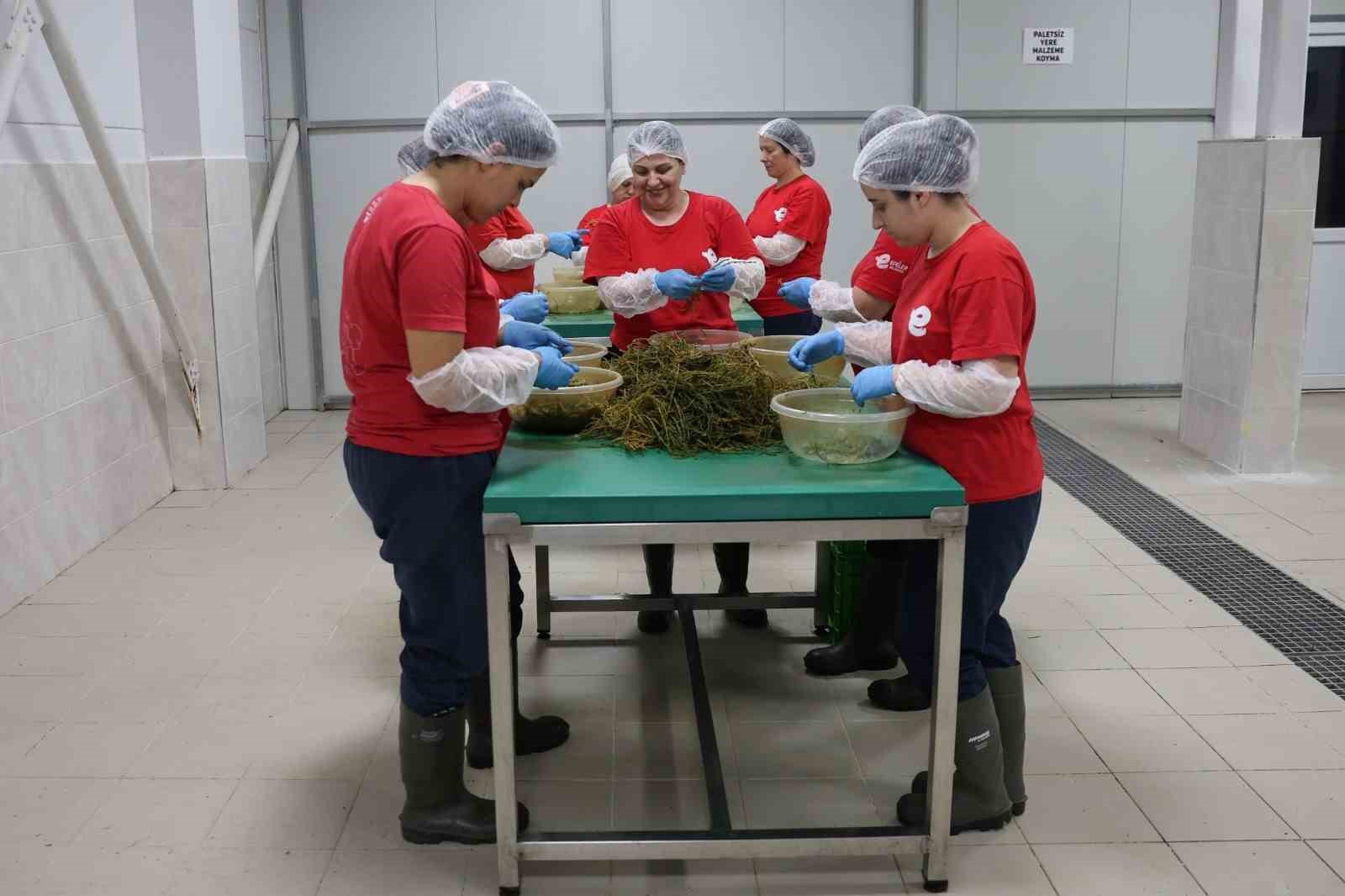 Efeler’in yöresel ürün çeşitliliği 63’e yükseldi
