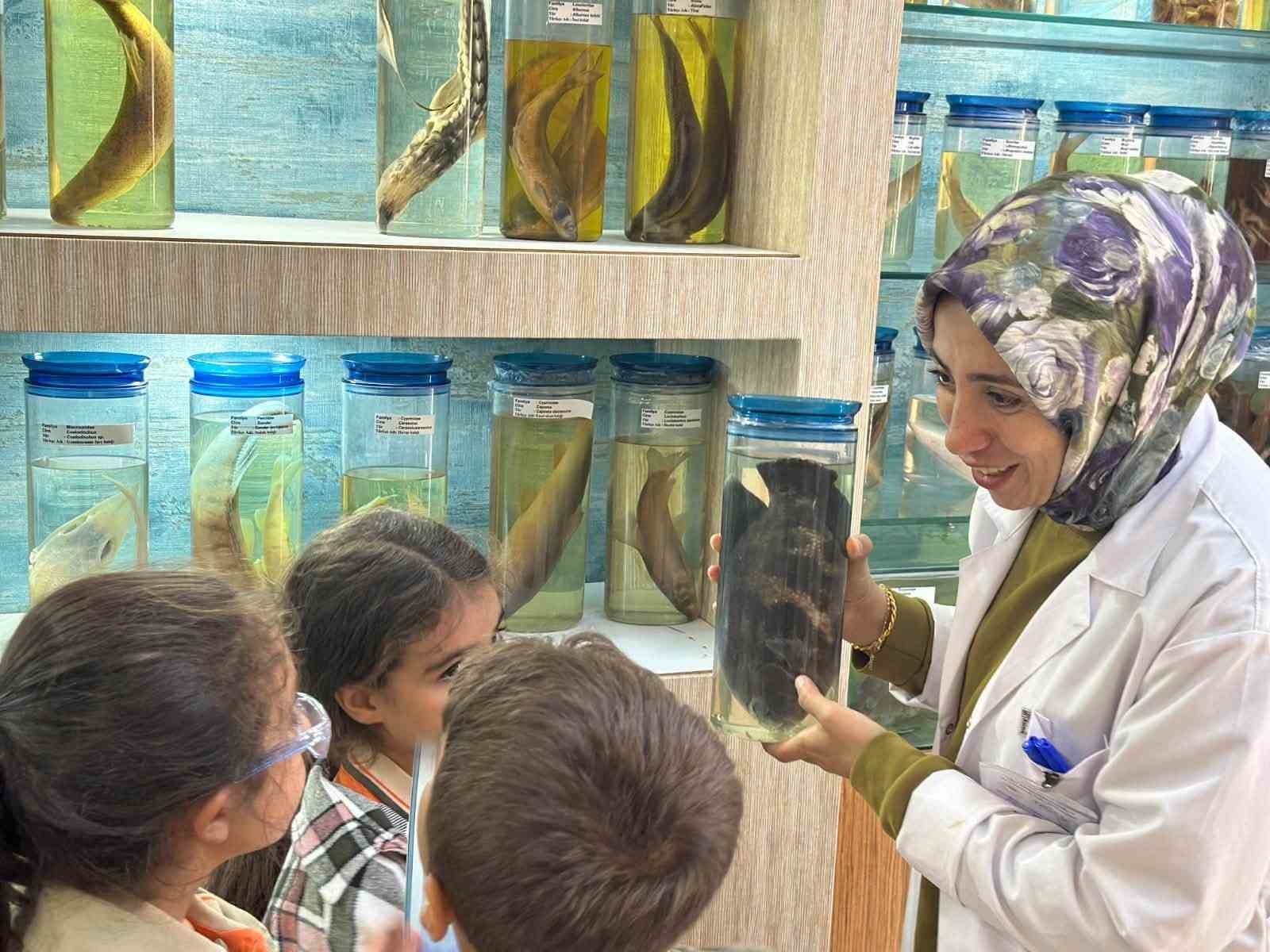 Elazığ’da öğrenciler balıkları yakından tanıdı
