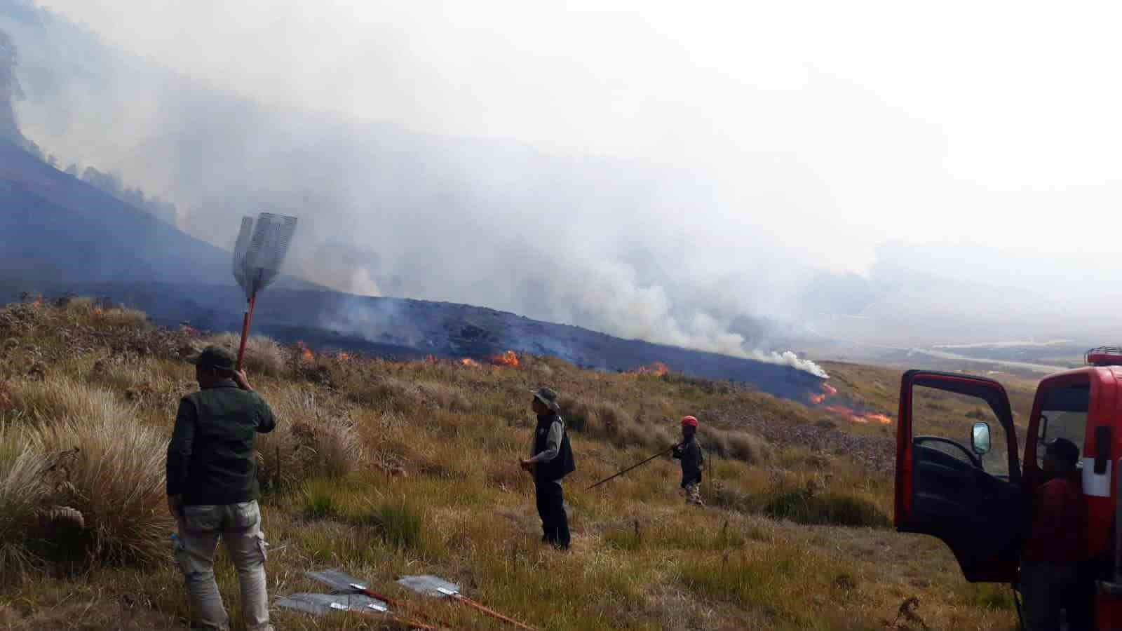 Endonezya’daki Bromo Dağı Milli Parkı’nda günlerdir süren yangın söndürülemiyor
