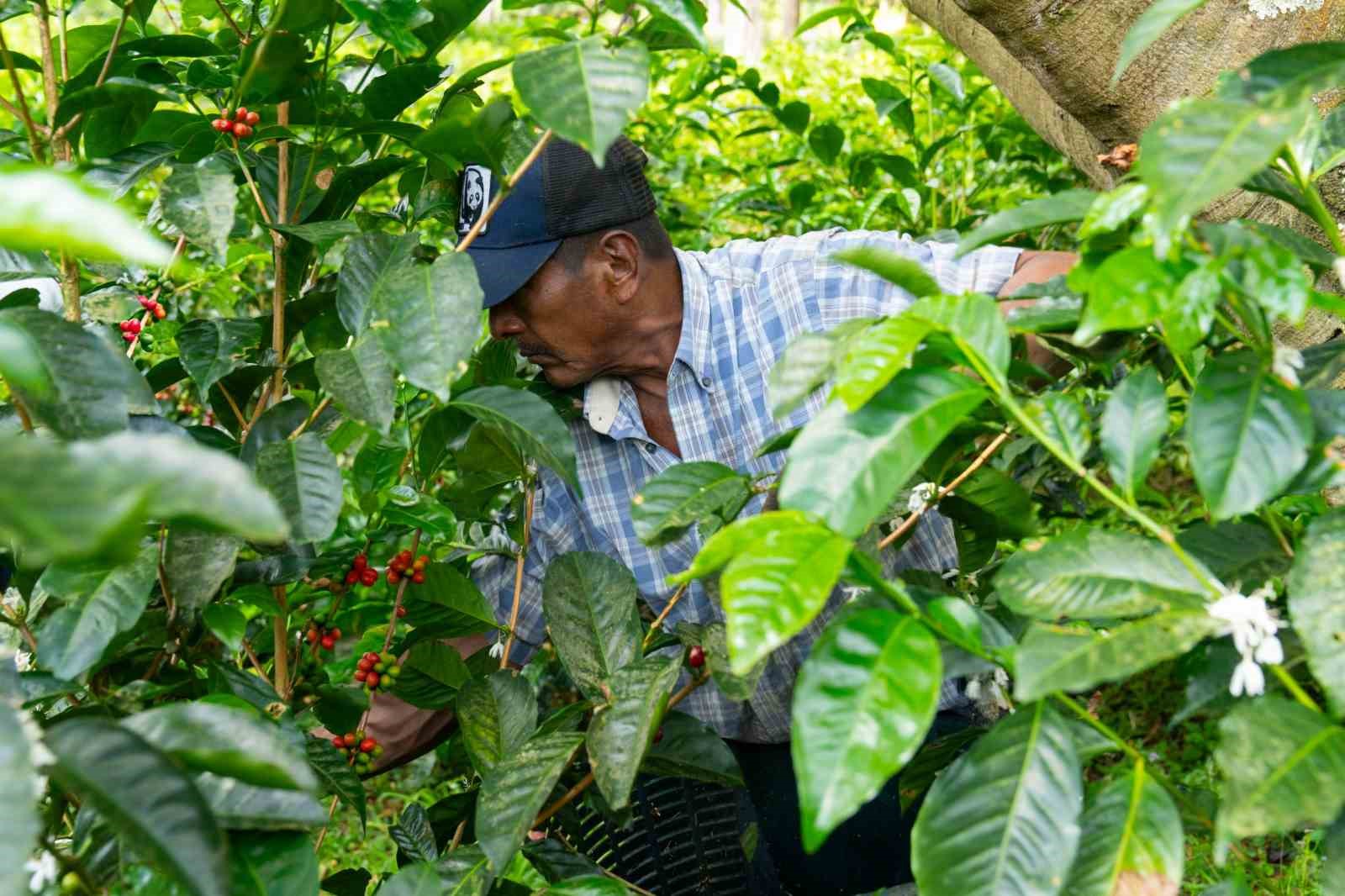 Espressolab’den kahve üretiminde şeffaf ve izlenebilir sistem
