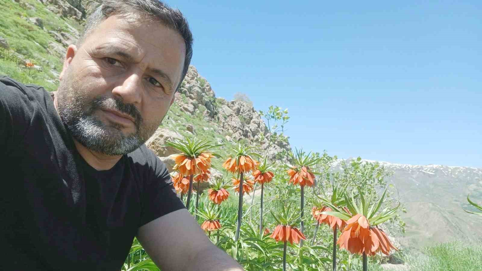 Hakkari’de 2 bin 700 rakımda ters laleler görüntülendi
