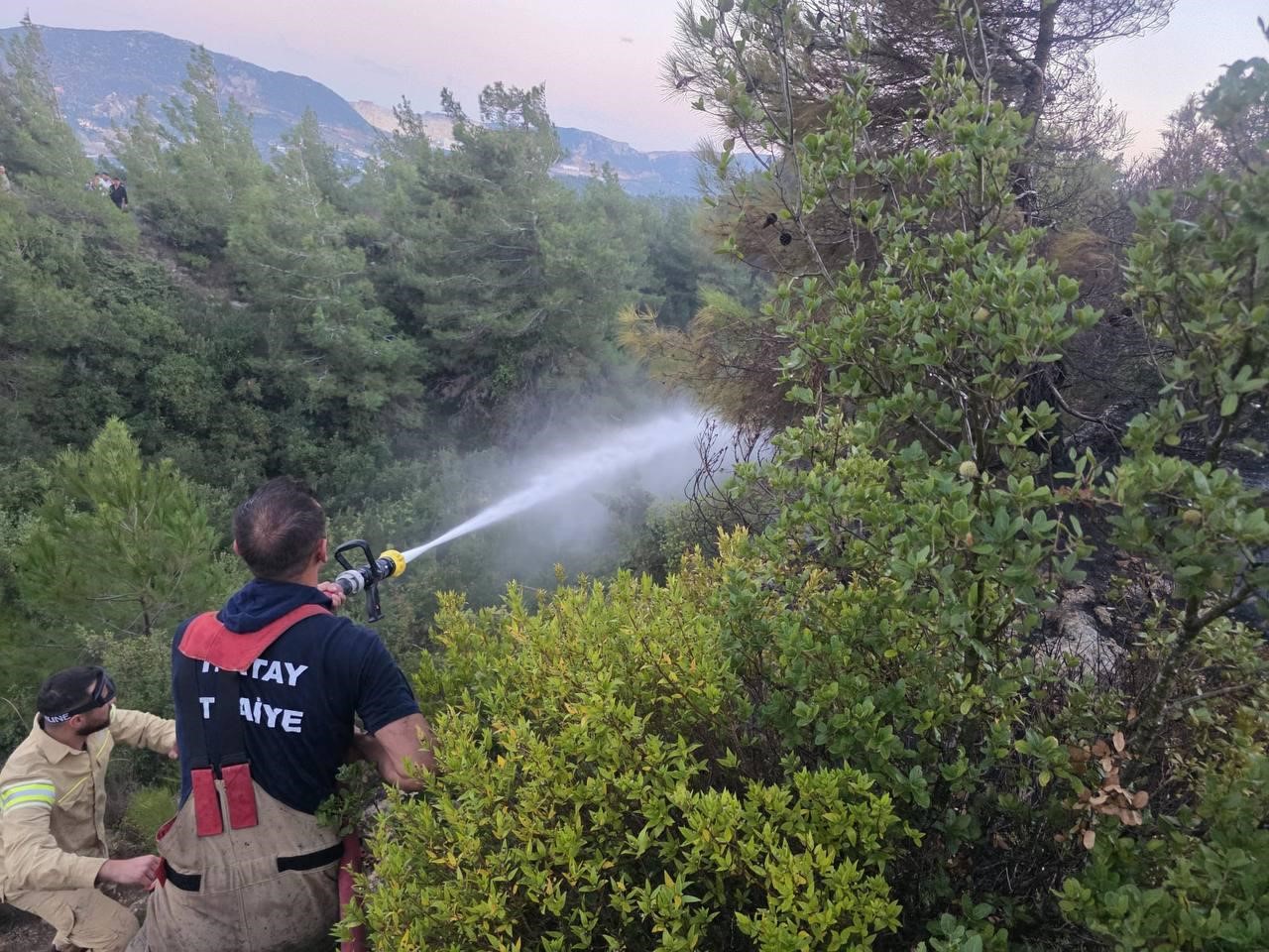 Hatay’da orman yangını çıktı
