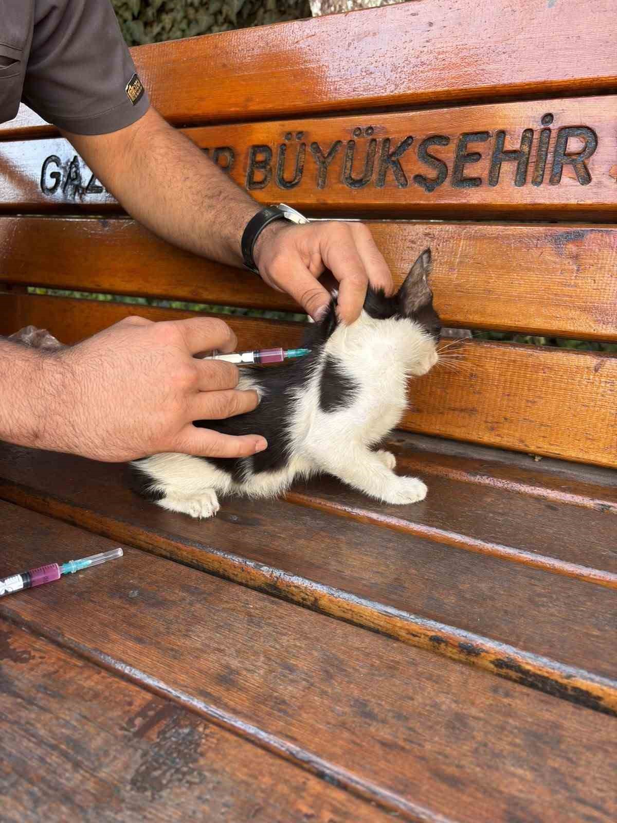 Hayvan dostu GKV’li öğrencilerden örnek davranış
