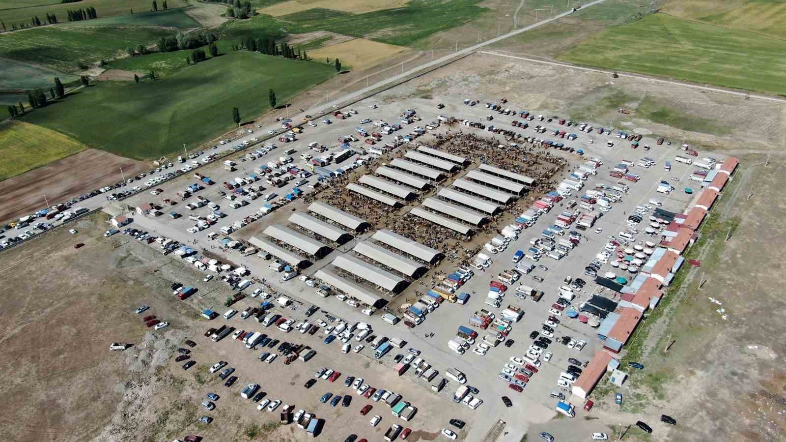 İç Anadolu Bölgesi’nin en büyük hayvan pazarı geçici olarak kapatıldı
