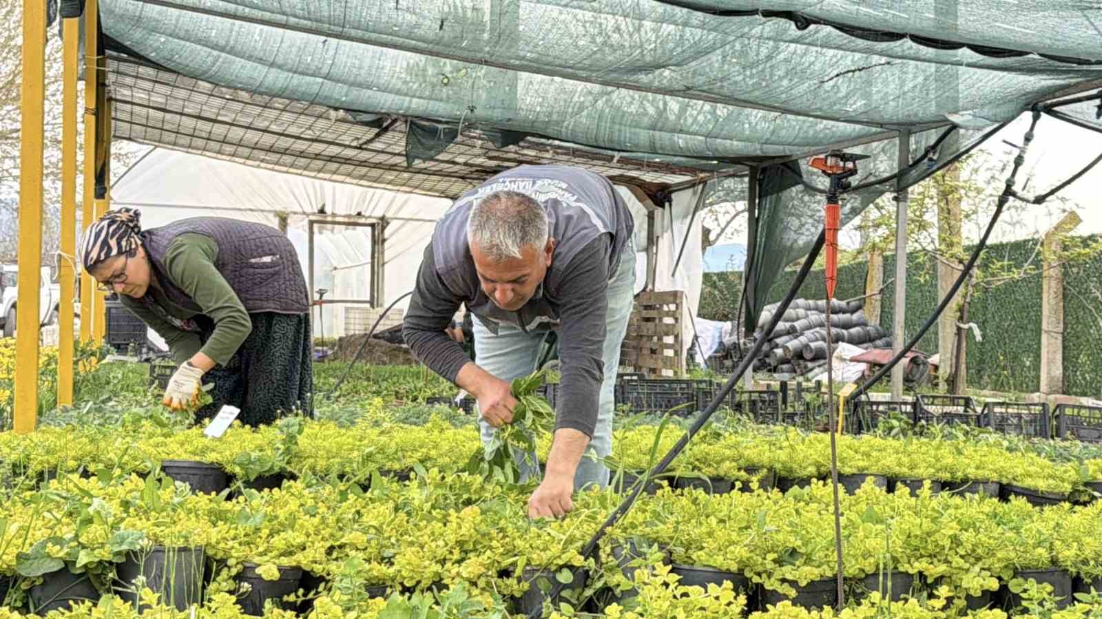 İklim değişikliği ve kuraklık nedeniyle su tasarruflu peyzaj dönemi
