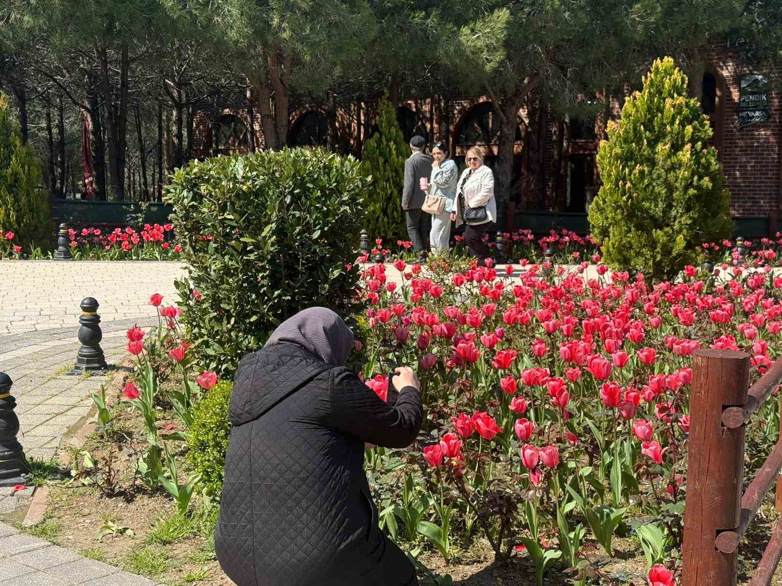 İstanbul’da lale zamanı başladı, Pendik Korusu’nda renk cümbüşü yaşandı

