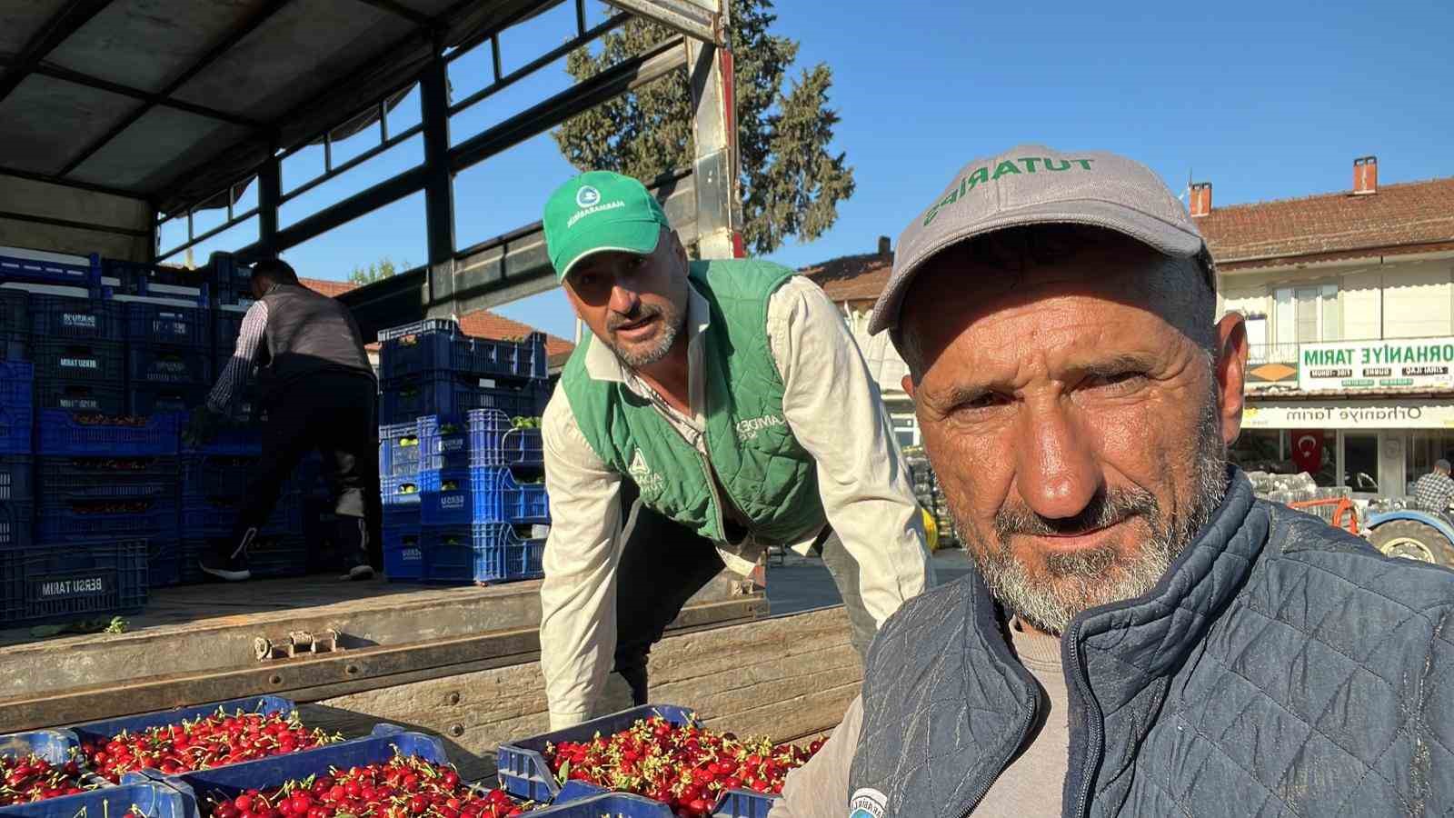 İznik’te mevsimin ilk karabodur kirazı hasadı başladı
