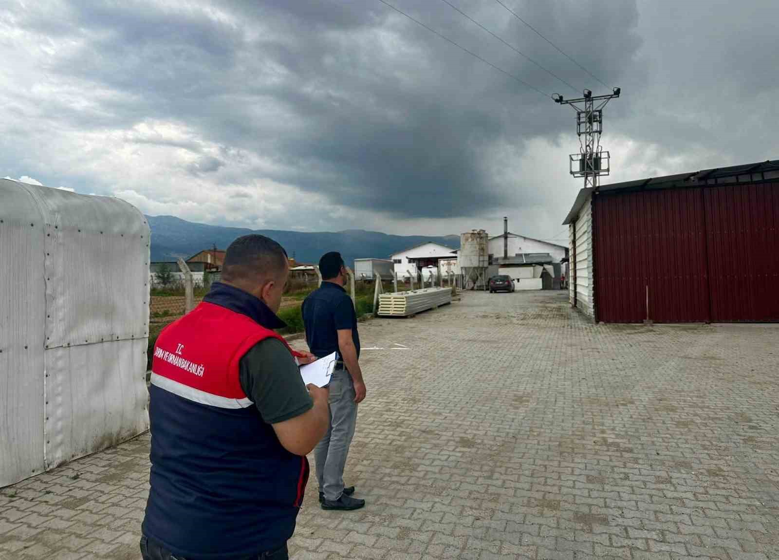Kanatlı hayvan işletmelerine yönelik denetim
