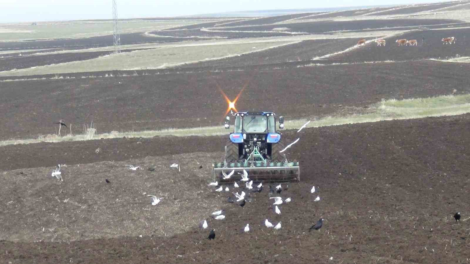Kars’ta kış uzadı, ekim gecikti: Çiftçi zamanla yarışıyor

