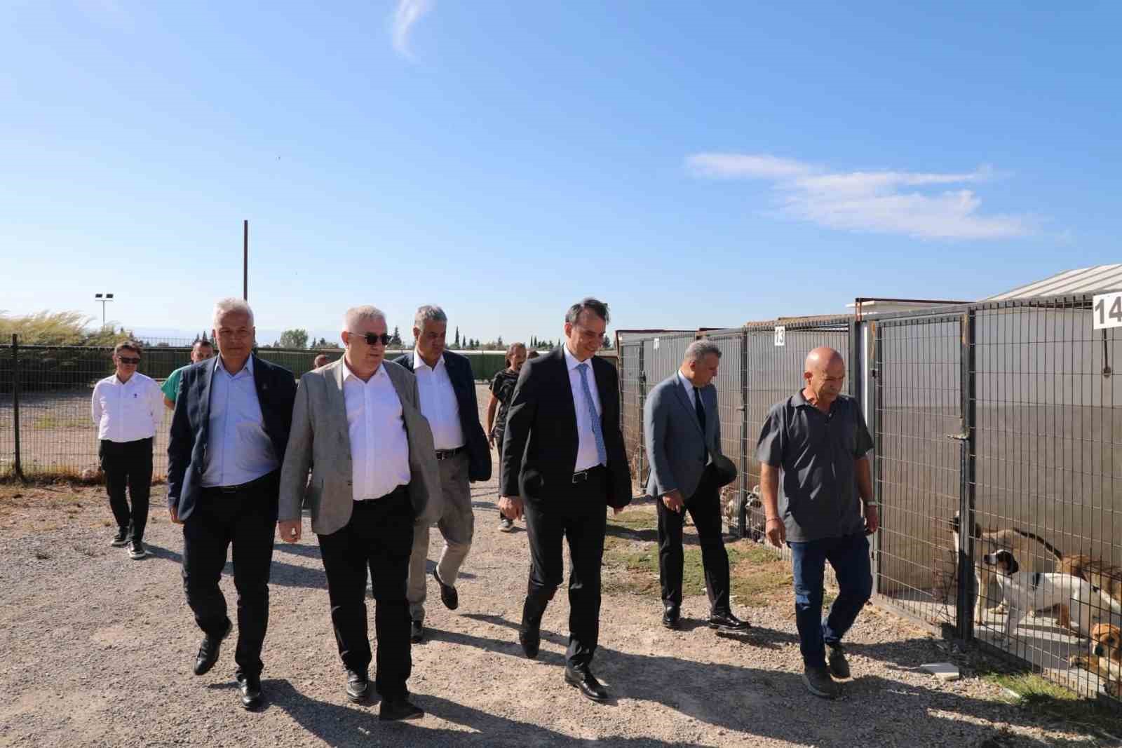 Kaymakam Zafer Engin, Sokak Hayvanları Bakım ve Rehabilitasyon Merkezi’ni ziyaret etti
