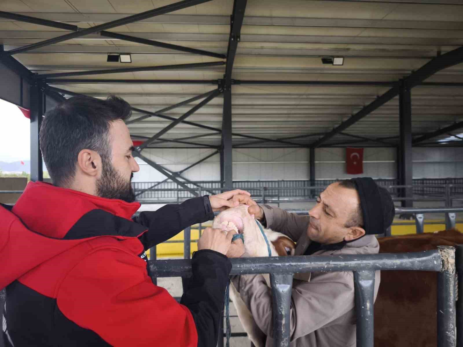 Kurbanlık denetimleri sürüyor
