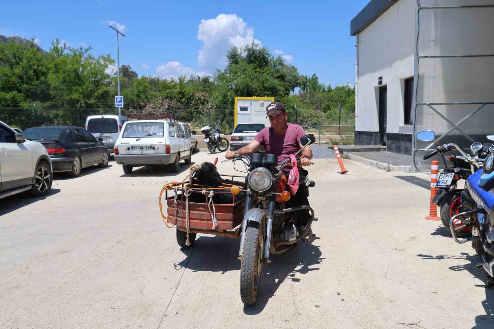 Kurbanlıkları sepetli motosikletlerle taşıdılar
