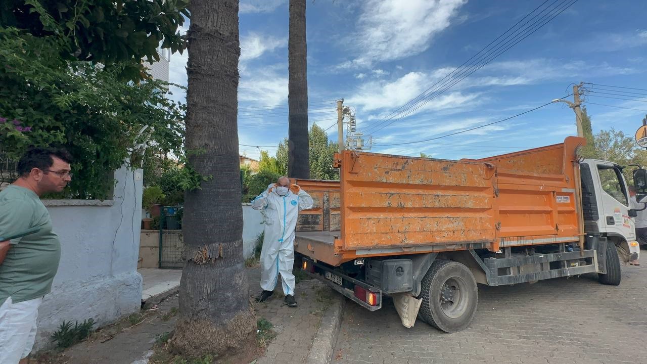 Marmaris’teki çöp evden bir kamyon çöp ve 30’a yakın kedi çıktı
