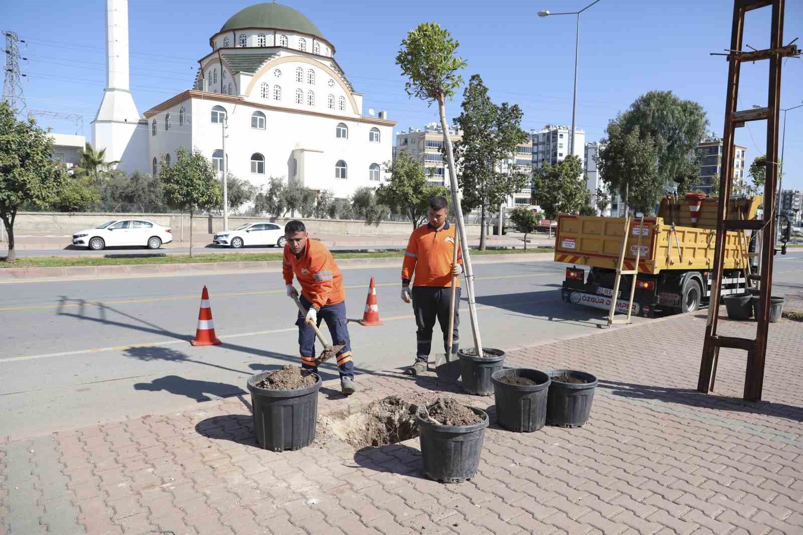 Mersin’de ağaçlandırma seferberliği başladı
