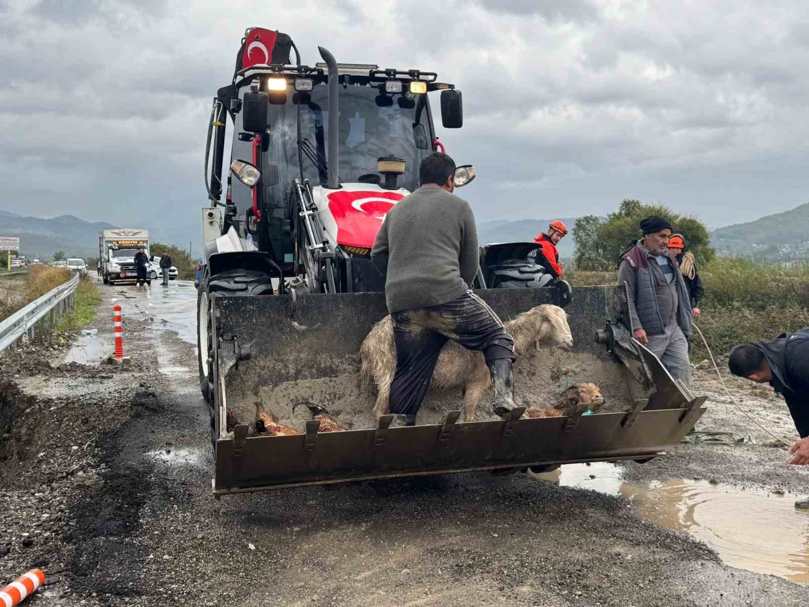 Muğla Dalaman sele teslim oldu
