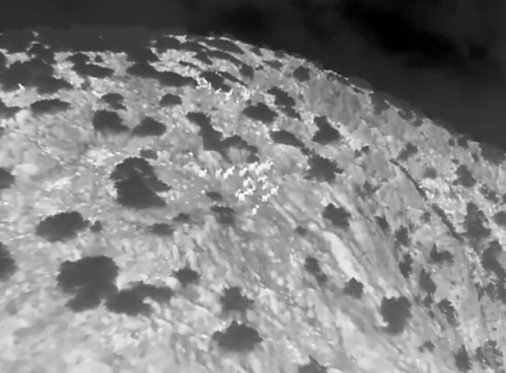 Muğla’da yaban keçileri termal kameralı drone ile görüntülendi
