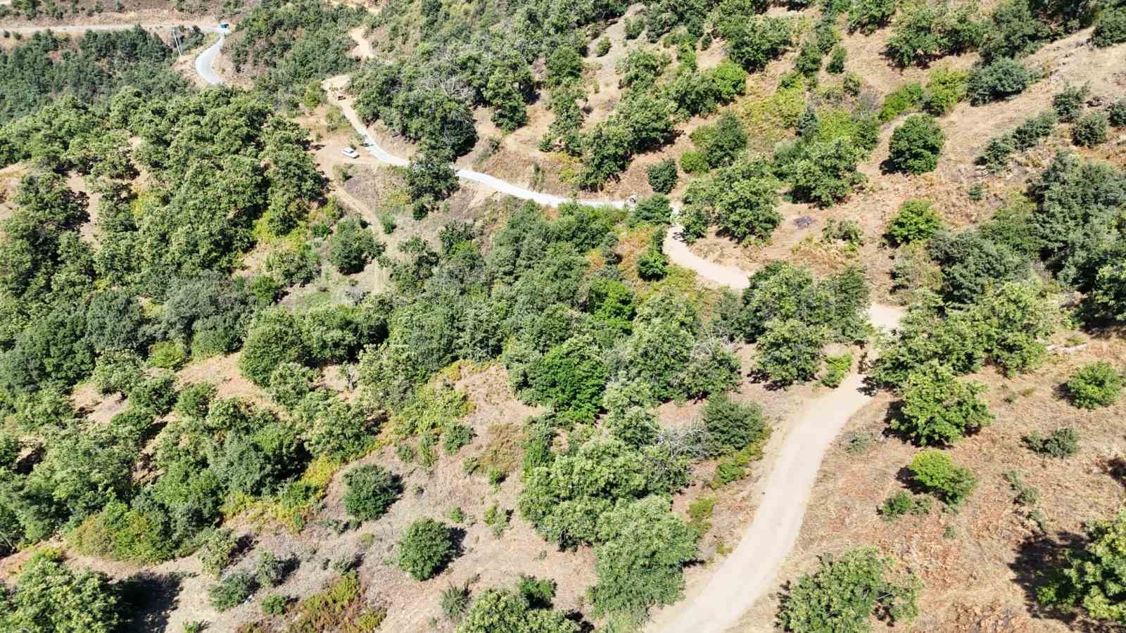 Nazilli Belediyesi Apaklar’da yolları yeniliyor
