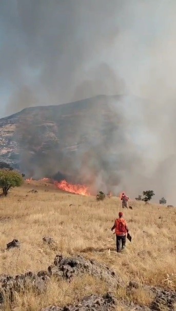 Nazımiye’de orman yangınına havadan ve karadan müdahale
