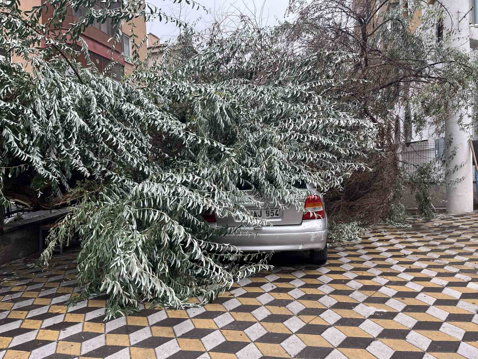 Niğde’de devrilen ağaç park halindeki aracın üzerine düştü
