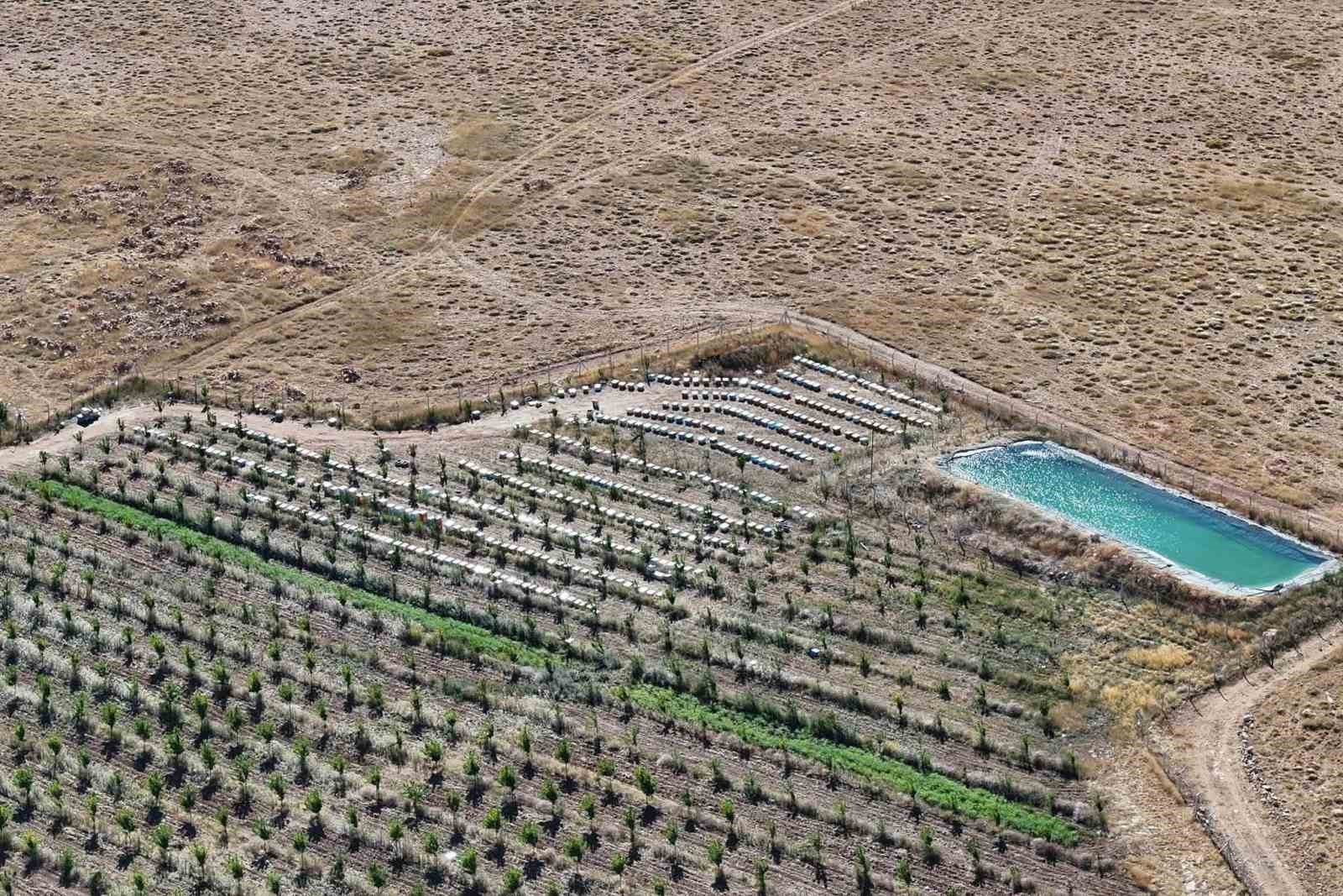 Niğde’nin bin 800 rakımlı Tumlu Yaylası’nda Geven Balı bereketi
