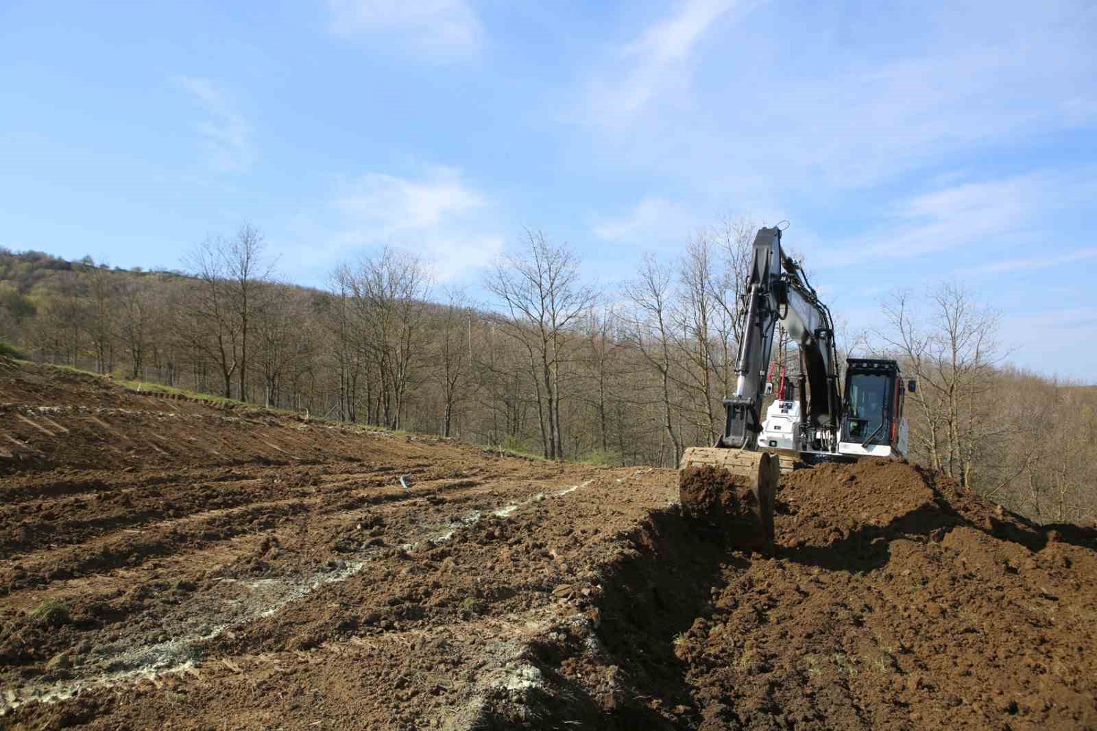 Nilüfer’de atıl araziler bereketleniyor
