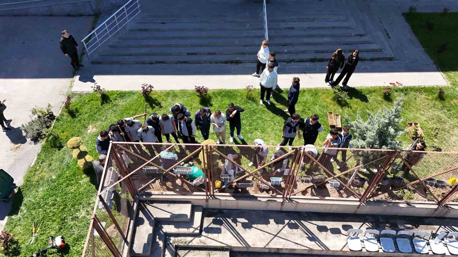 Okul bahçesi lavanta ve güllerle donatıldı
