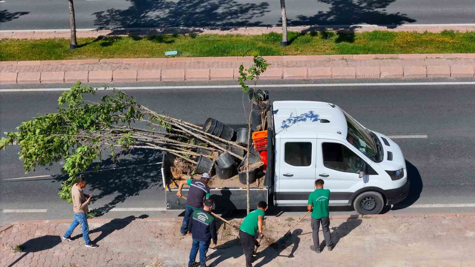 Ömrünü tamamlayan ağaçların yerine yenileri dikiliyor
