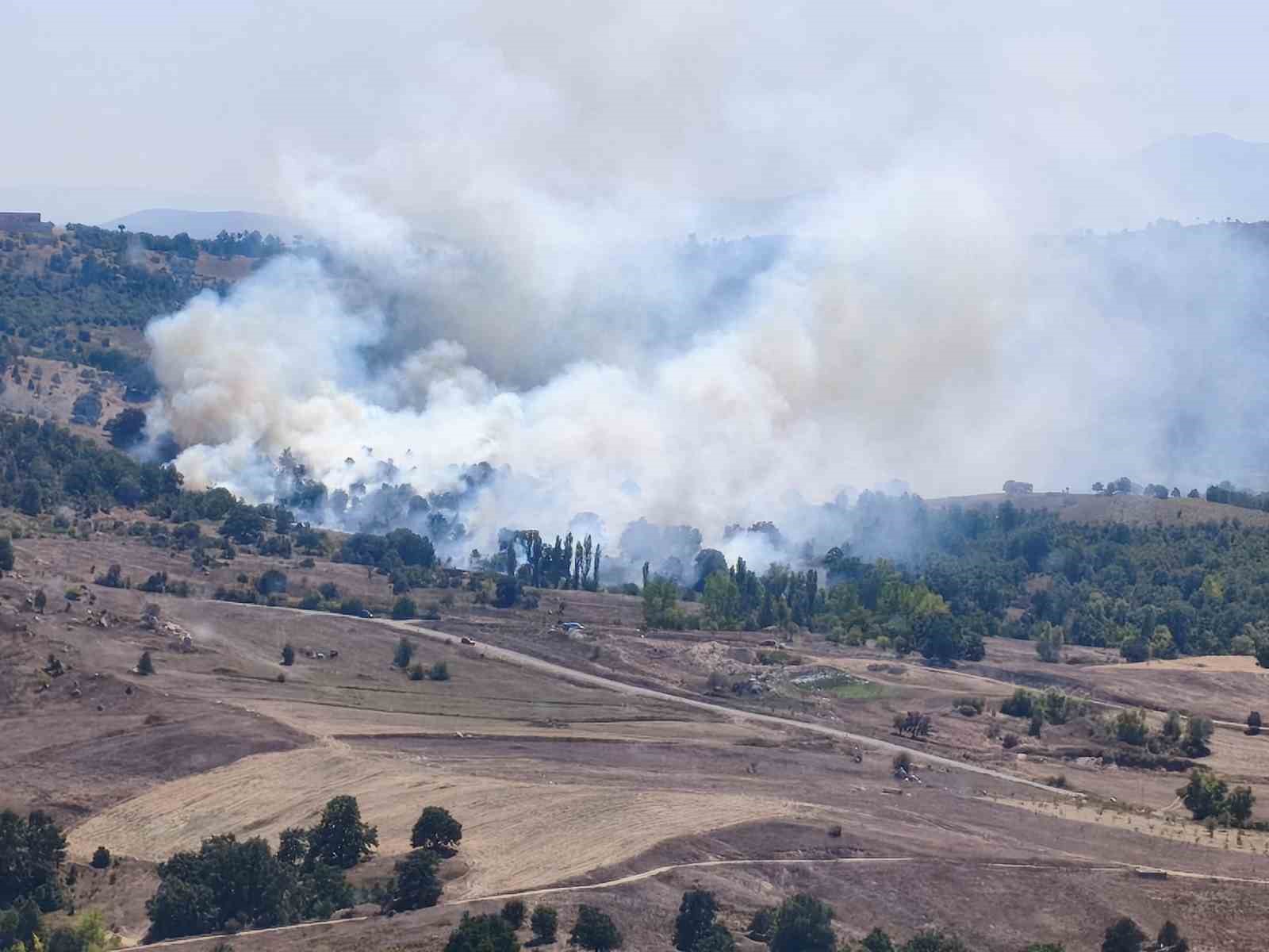 Orhaneli’de orman yangını
