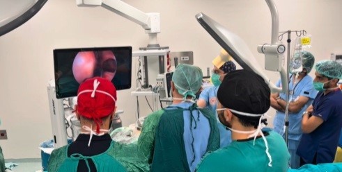 Rinoloji alanındaki güncel cerrahi yaklaşımlar Erzincan’da ele alındı
